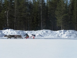 porokisat 2013 17 20150222 1782237307