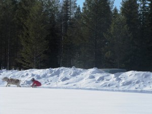 porokisat 2013 20 20150222 1249258783