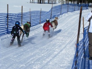 porokisat 2013 5 20150222 1206470297